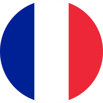 France Flag Round Small